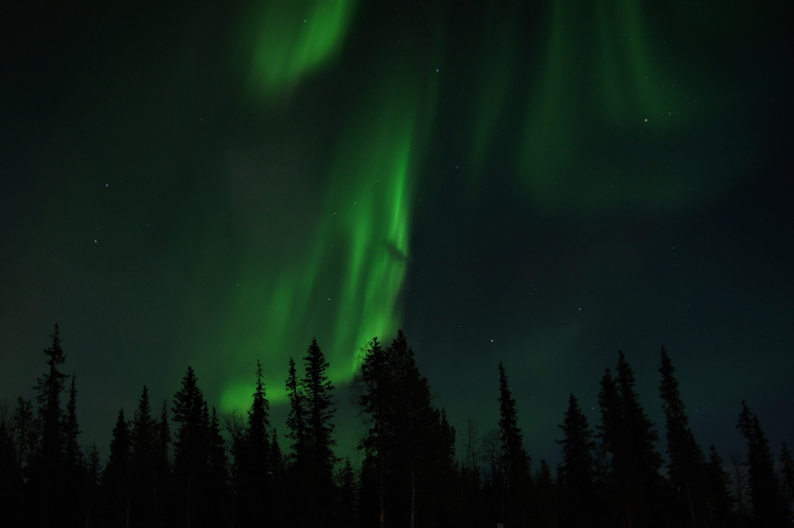„Northern lights, unforgetable sights“ in a winterwonderland