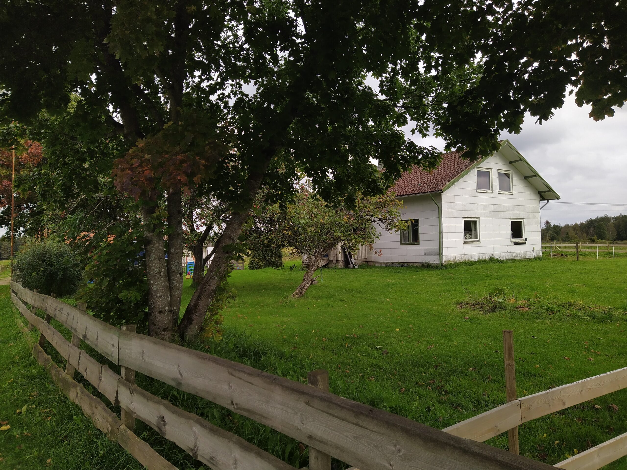 Jennys Farm